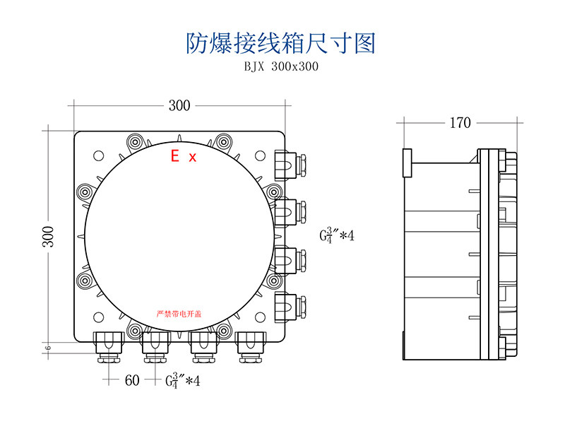 井田CT6防爆接线箱 BJX 产品参数
